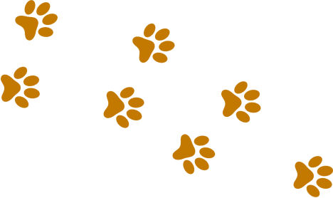 Paw Print