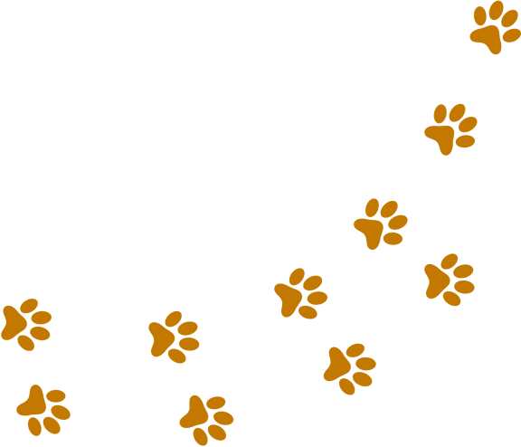 Paw Print